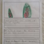 Minibeast Facts 6